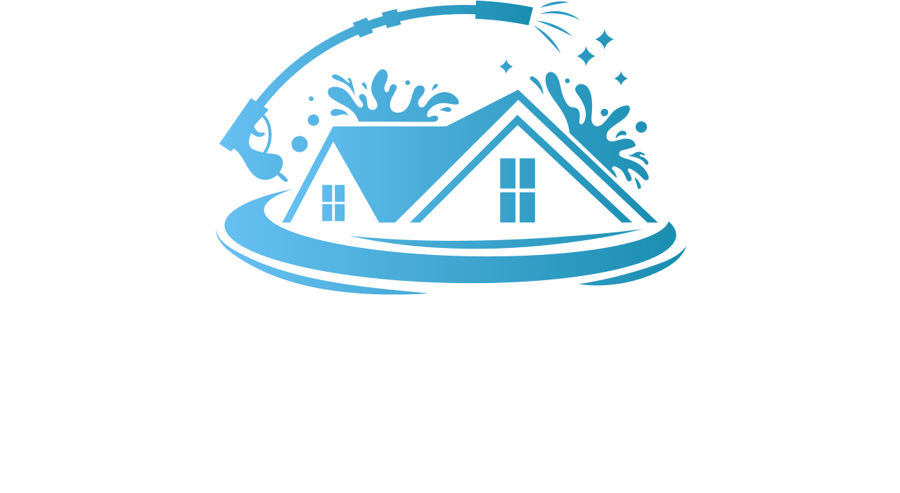 Wash Wizards's logo