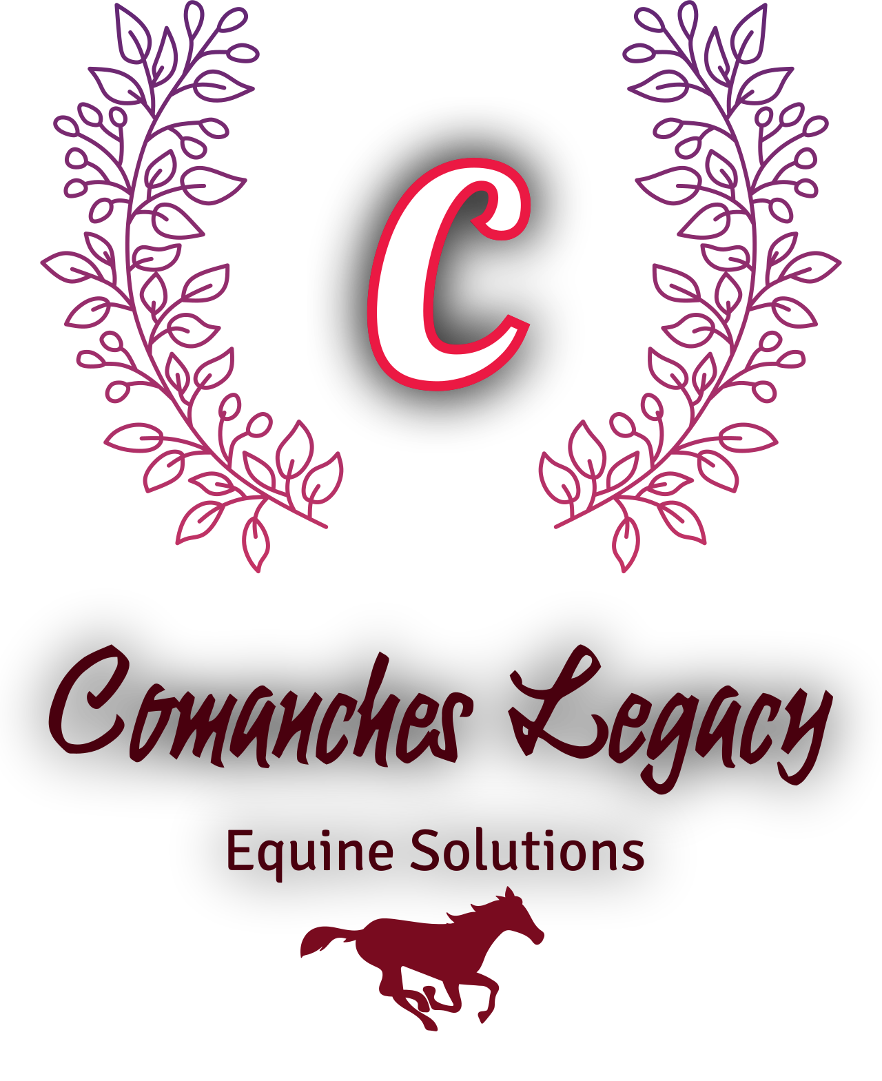 Comanches Legacy's web page