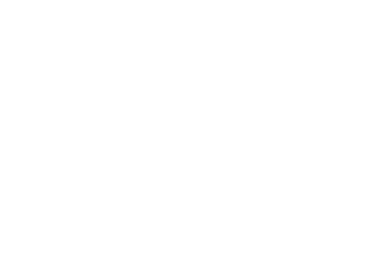 WnW's logo