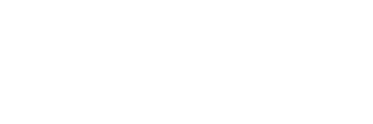KZ's logo