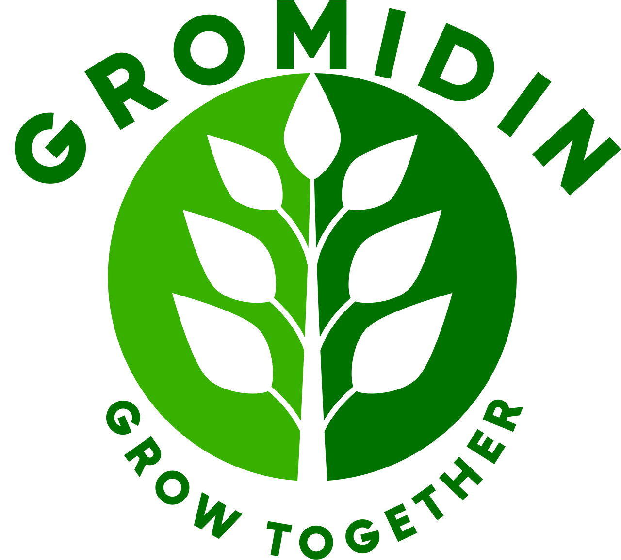 Gromidin's logo