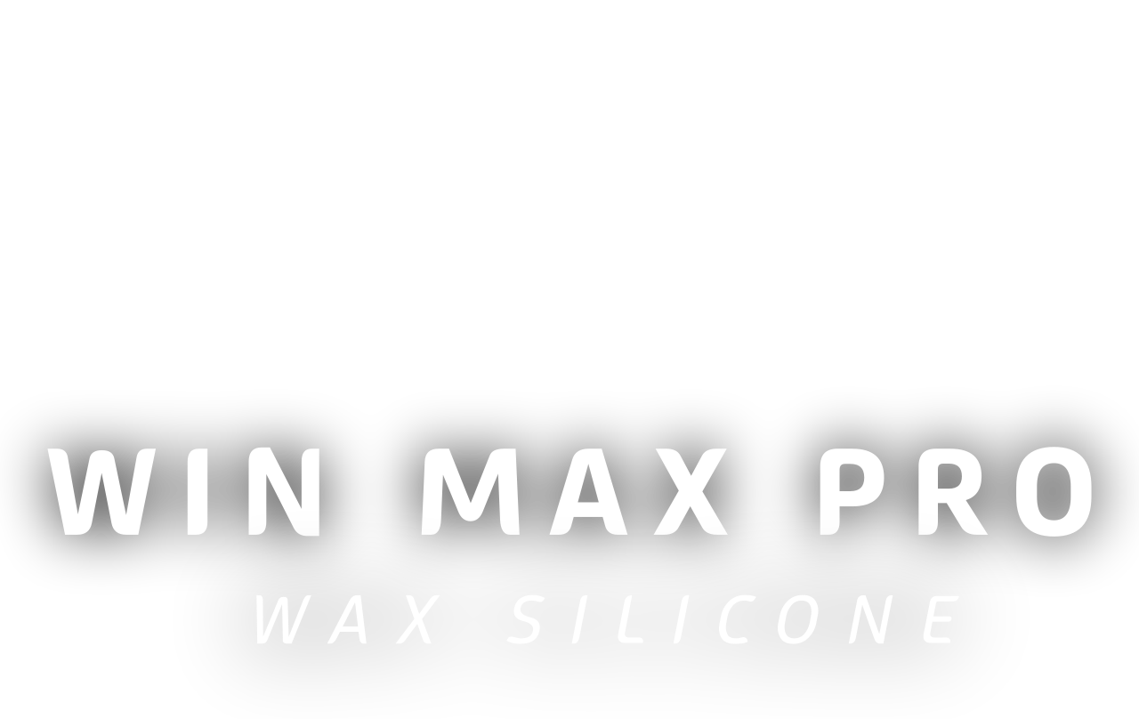Win max pro 's logo