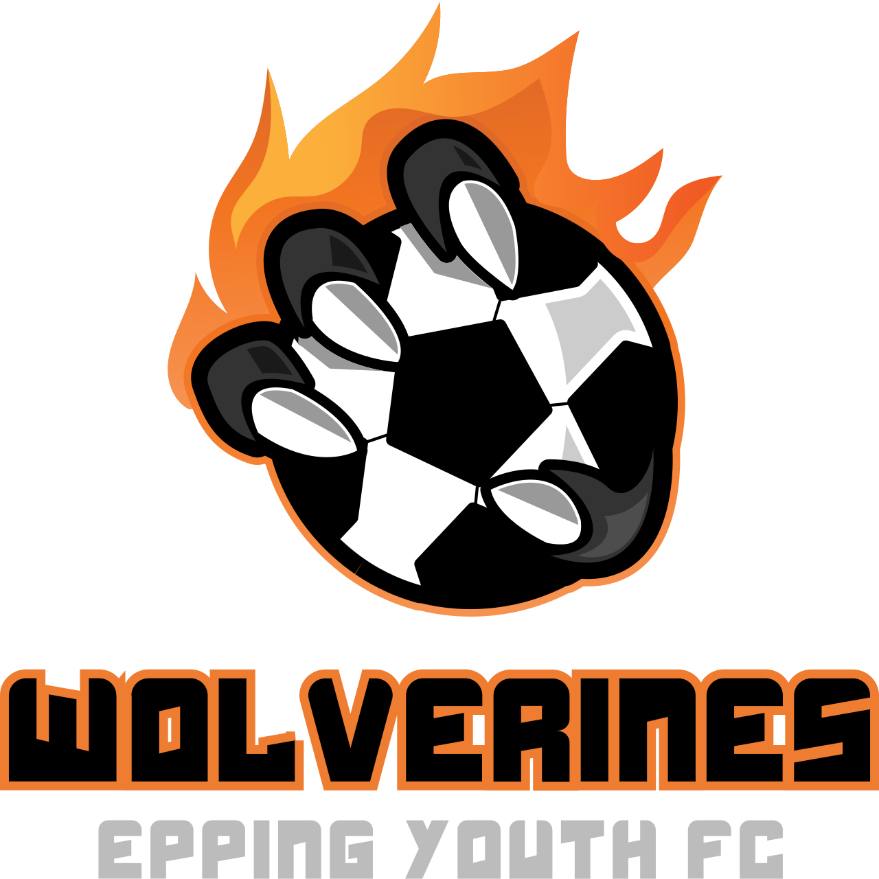 Wolverines's logo