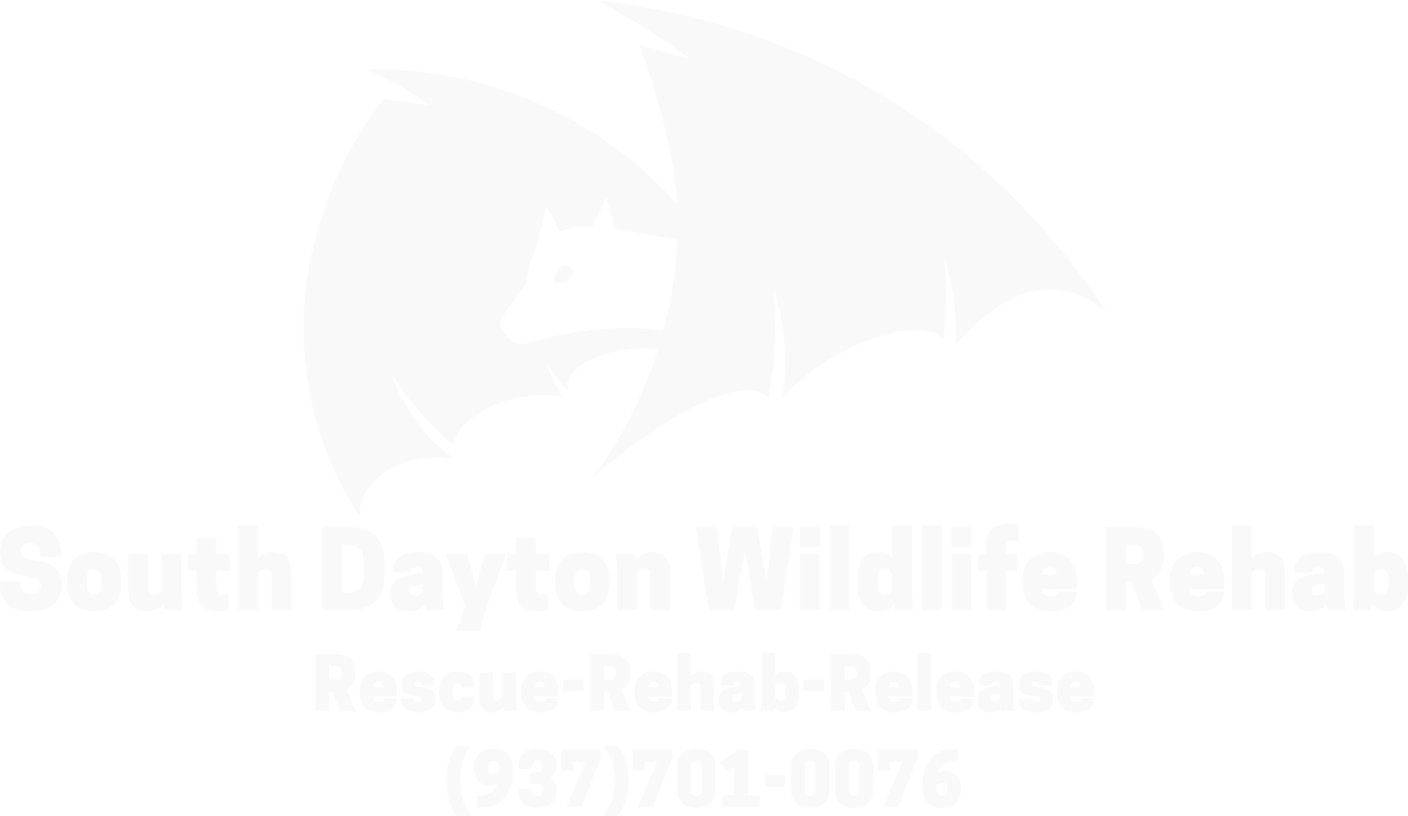 South Dayton Wildlife Rehab's logo