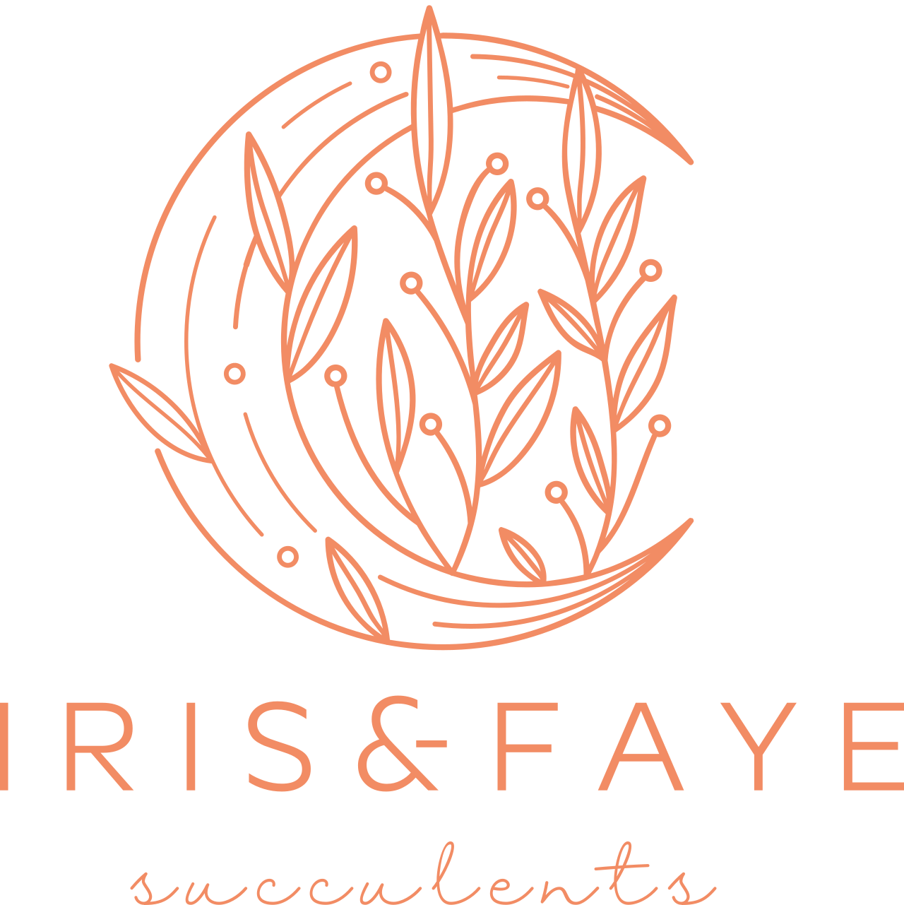  IRIS&FAYE 's web page