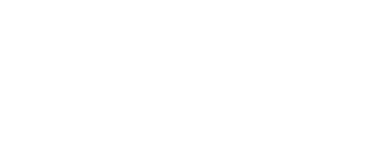 Safe Not Sorry Transportation's web page