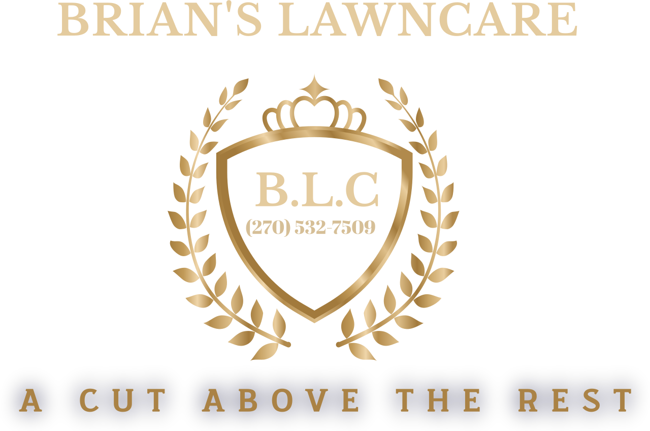 Brian's lawncare's logo