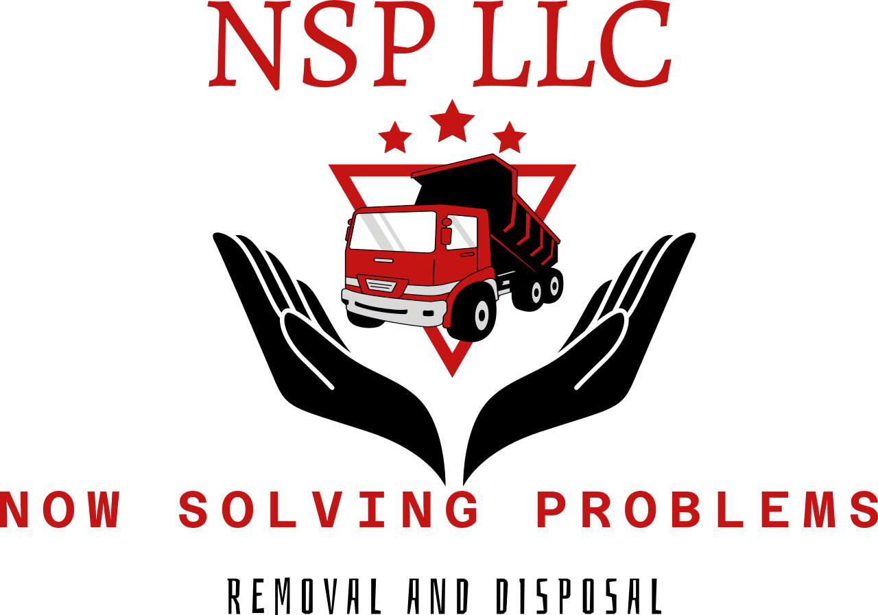 Now Solving Problems's logo