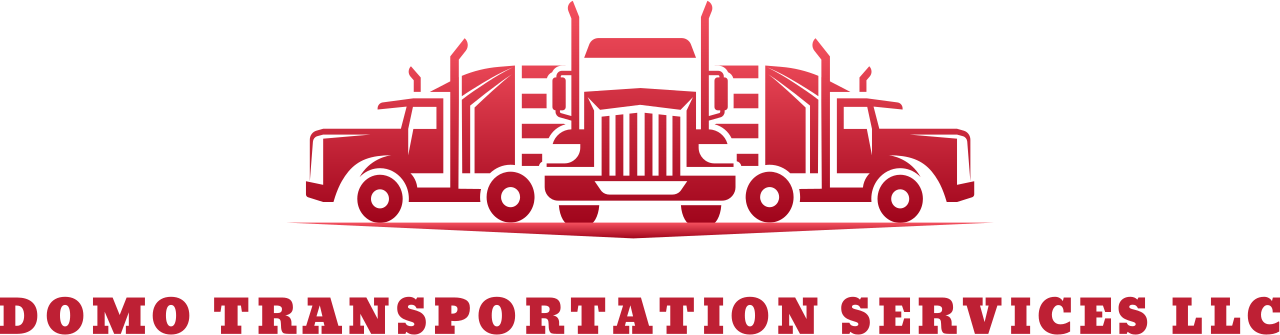 DOMO TRANSPORTATION SERVICES LLC's logo
