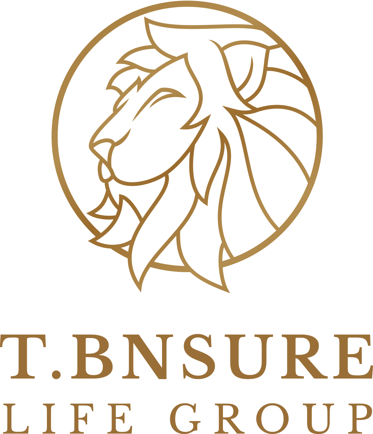 T.BNSURE's logo