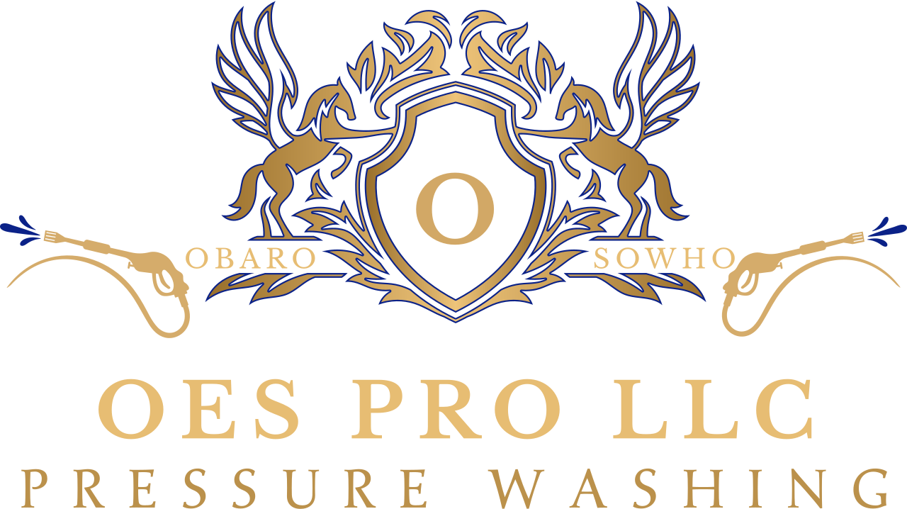 OES PRO LLC's logo