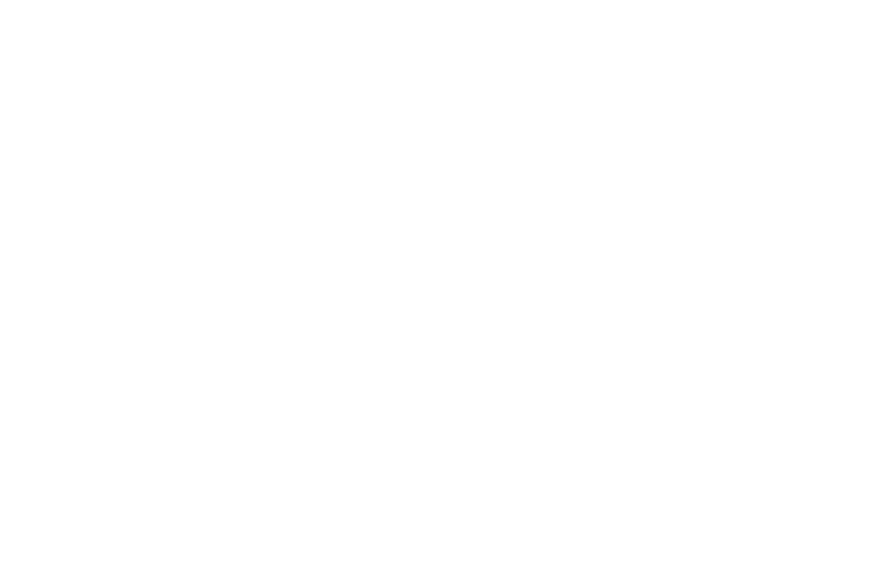 Zach Schwager AI & Big Data 's logo