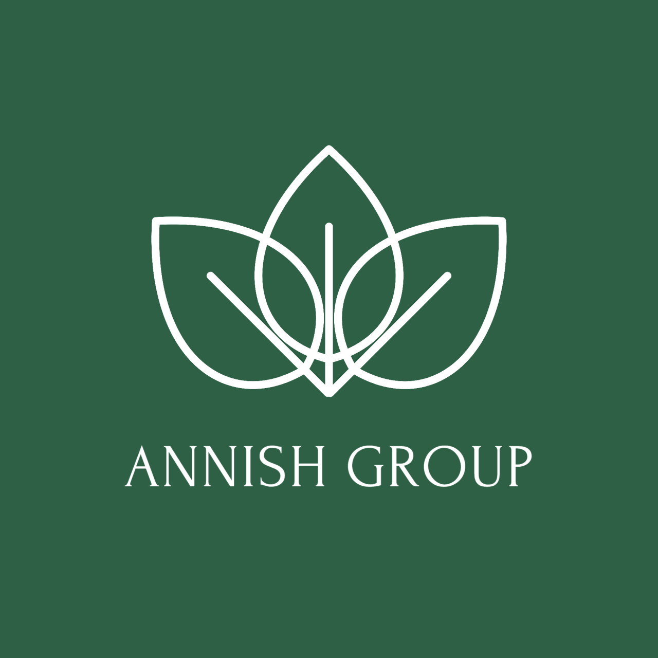 ANNISH GROUP's web page