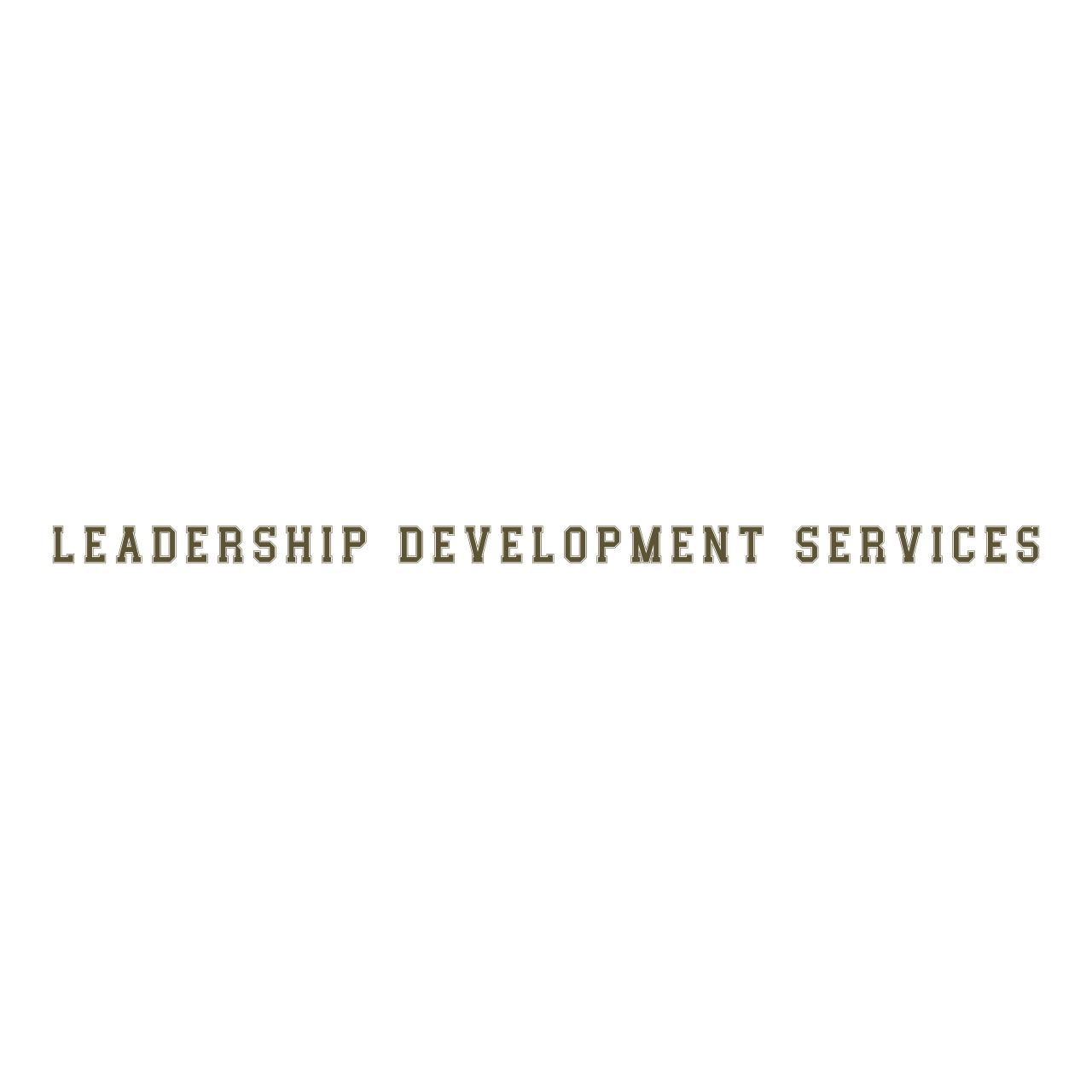 Leadership Development Services's logo