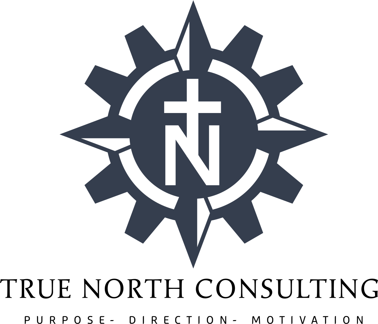 True North (TN) Consulting Pro's logo