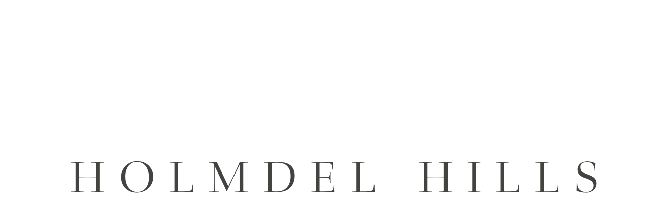 Holmdel Hills's web page