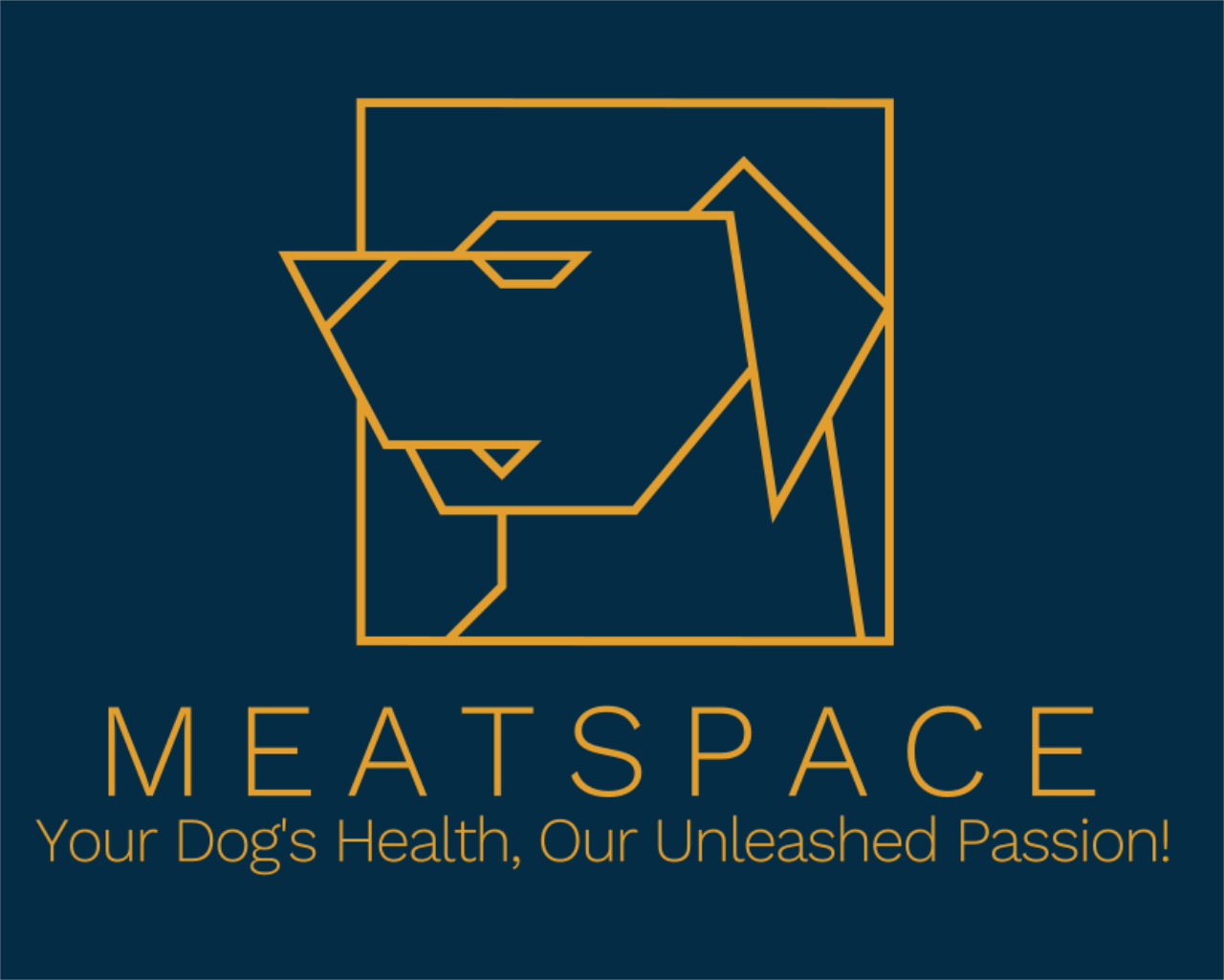 Meatspace: Virtual Dog Educational for Real World's logo