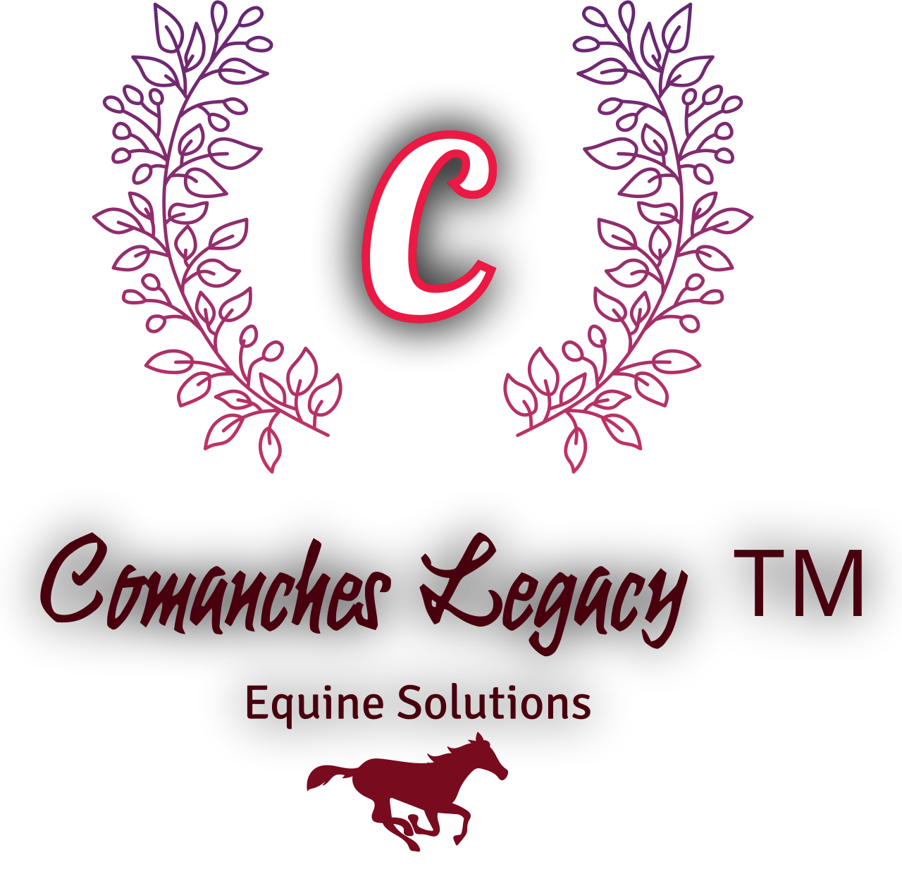 Comanches Legacy ™'s web page