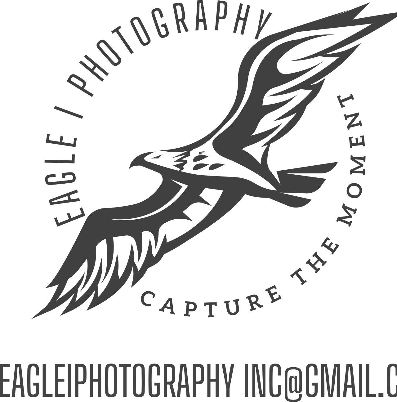 EAGLE I PHOTOGRAPHY's web page
