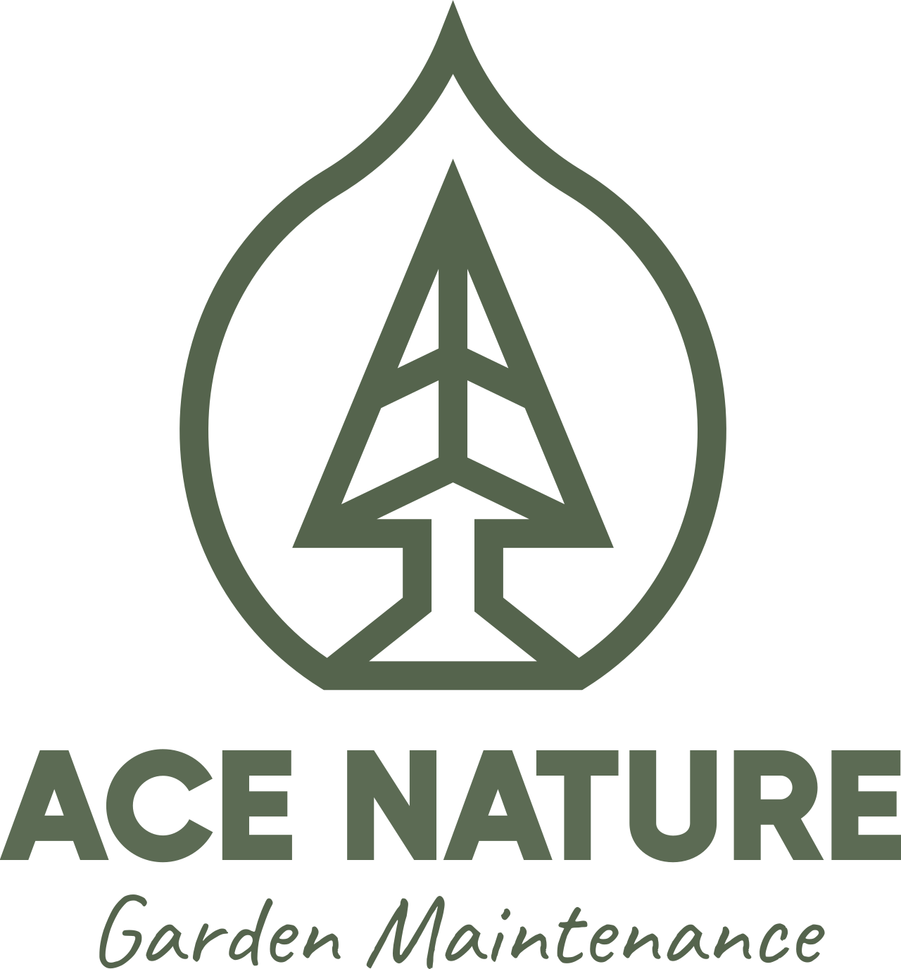 ace nature's logo