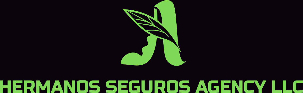 Hermanos Seguros Agency LLC's logo