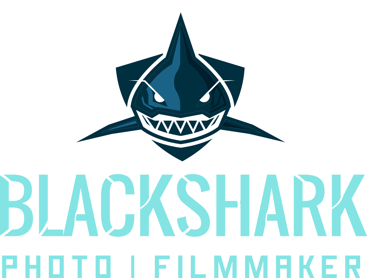 BLACKSHARK's web page