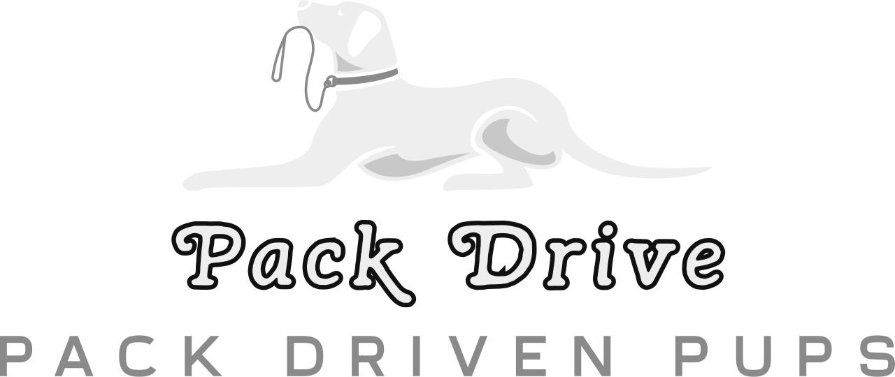 Pack Drive's logo
