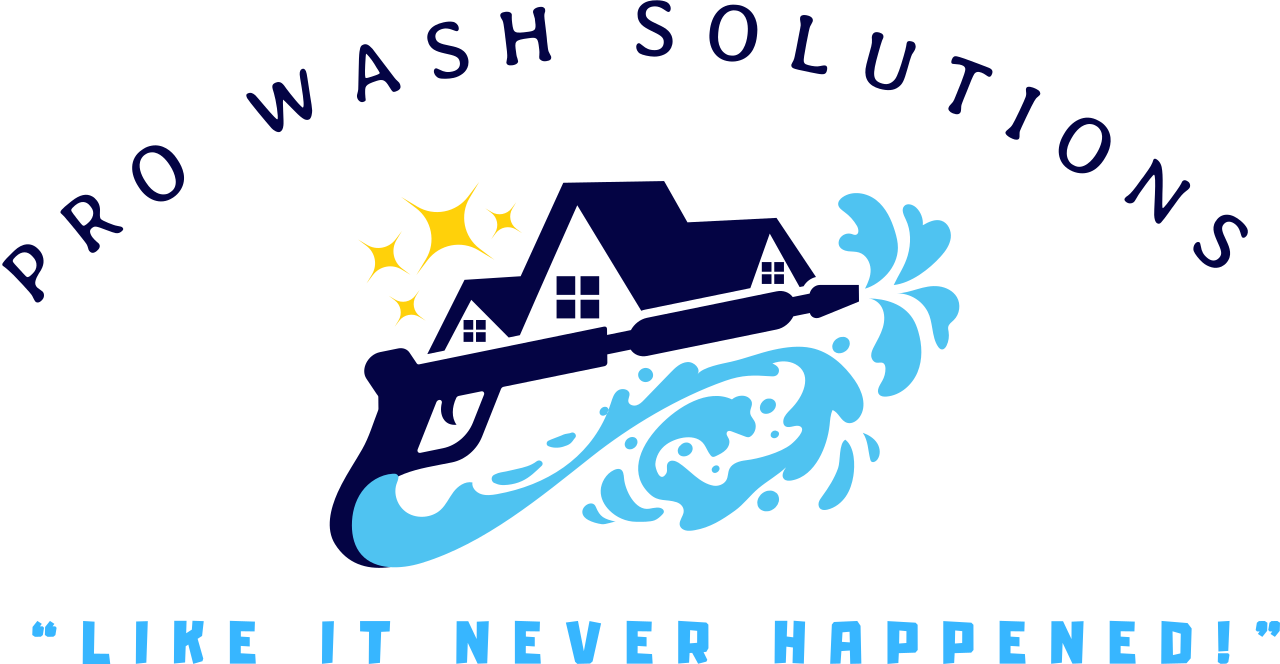Pro Wash Solutions 's logo