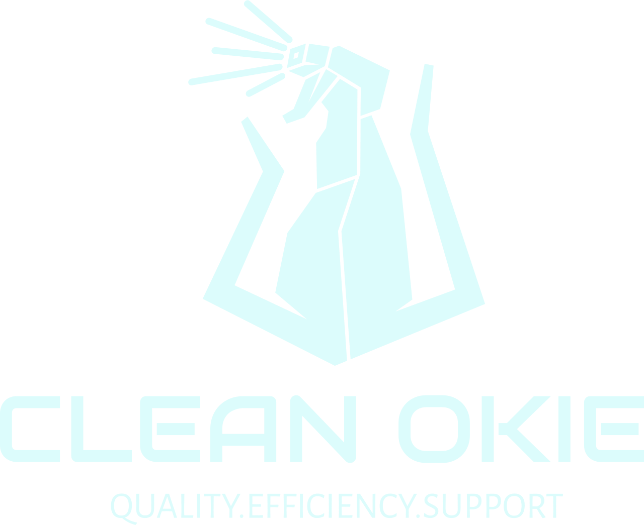 CLEAN OKIE 's logo