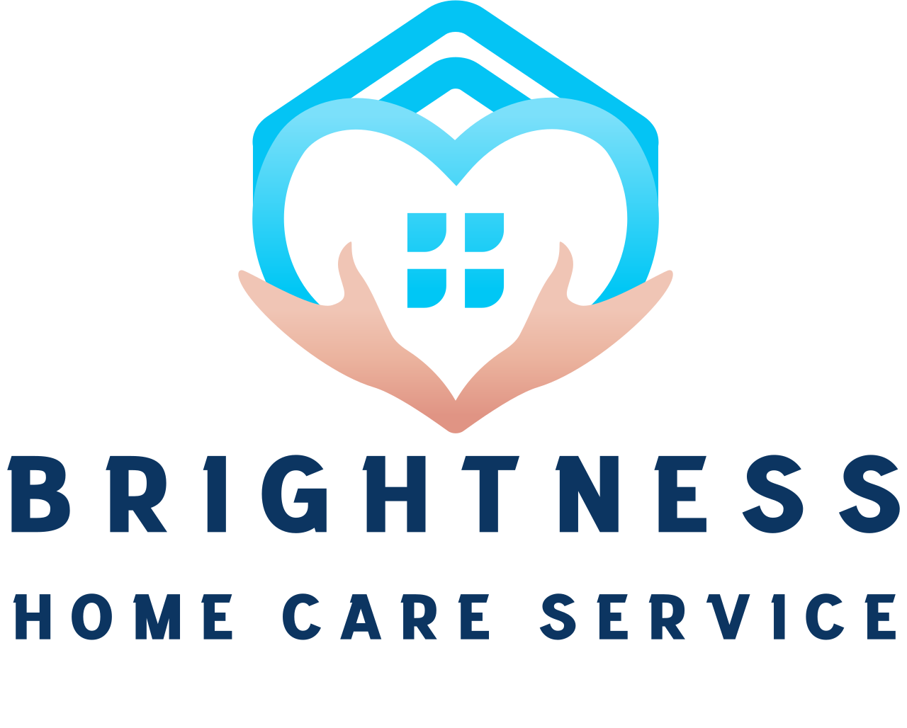 BRIGHTNESS
 's logo