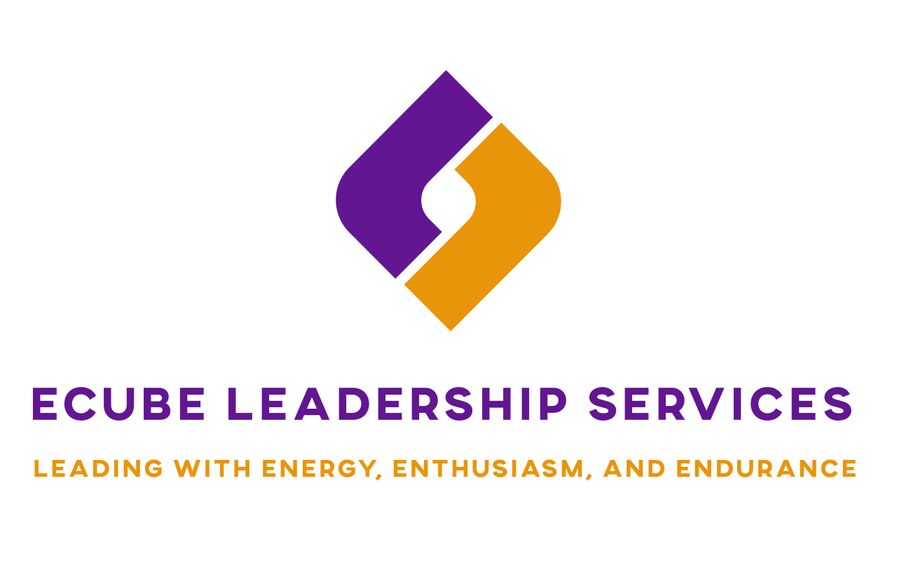 ECUBE LEADERSHIP SERVICES's logo