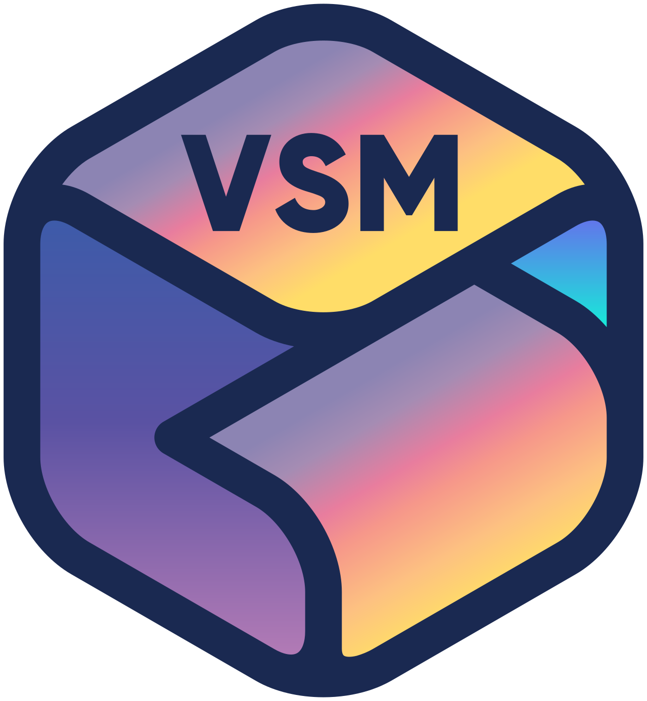 VSM's logo