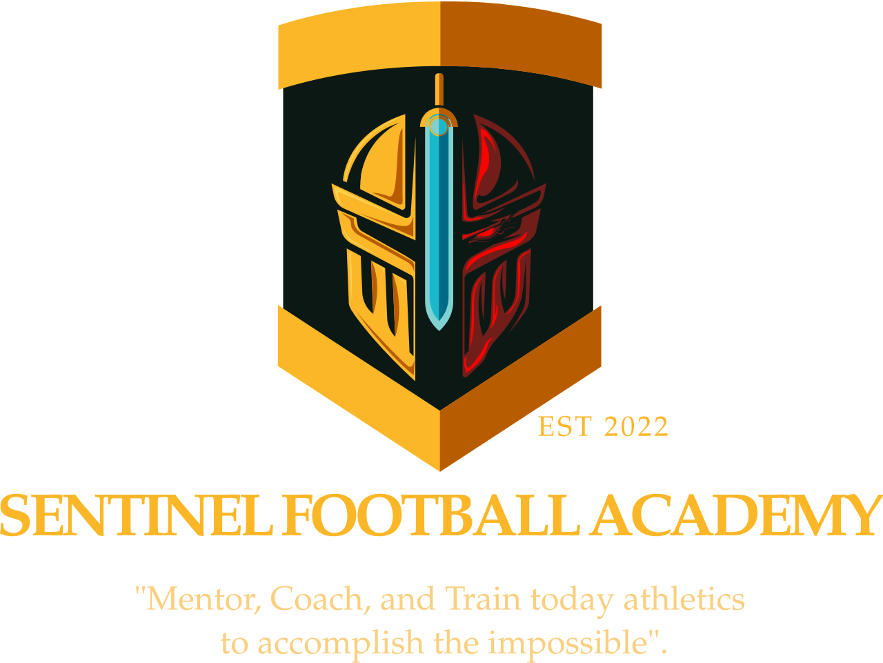Sentinel Football Academy's web page