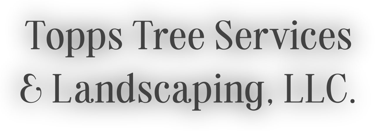 Topps Tree Services 
& Landscaping, LLC. 's logo