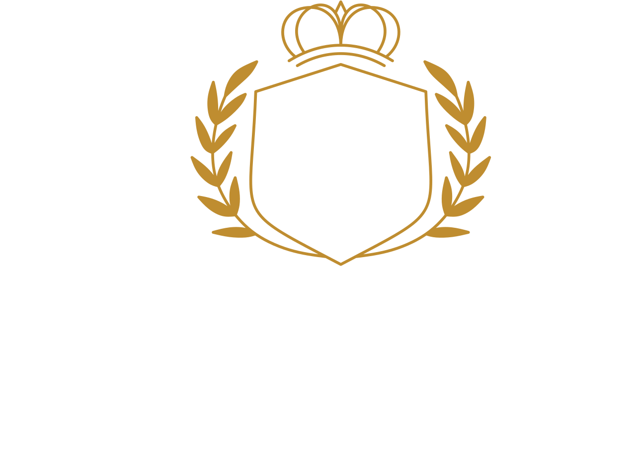 PROVIDENCE Christian Academy's logo