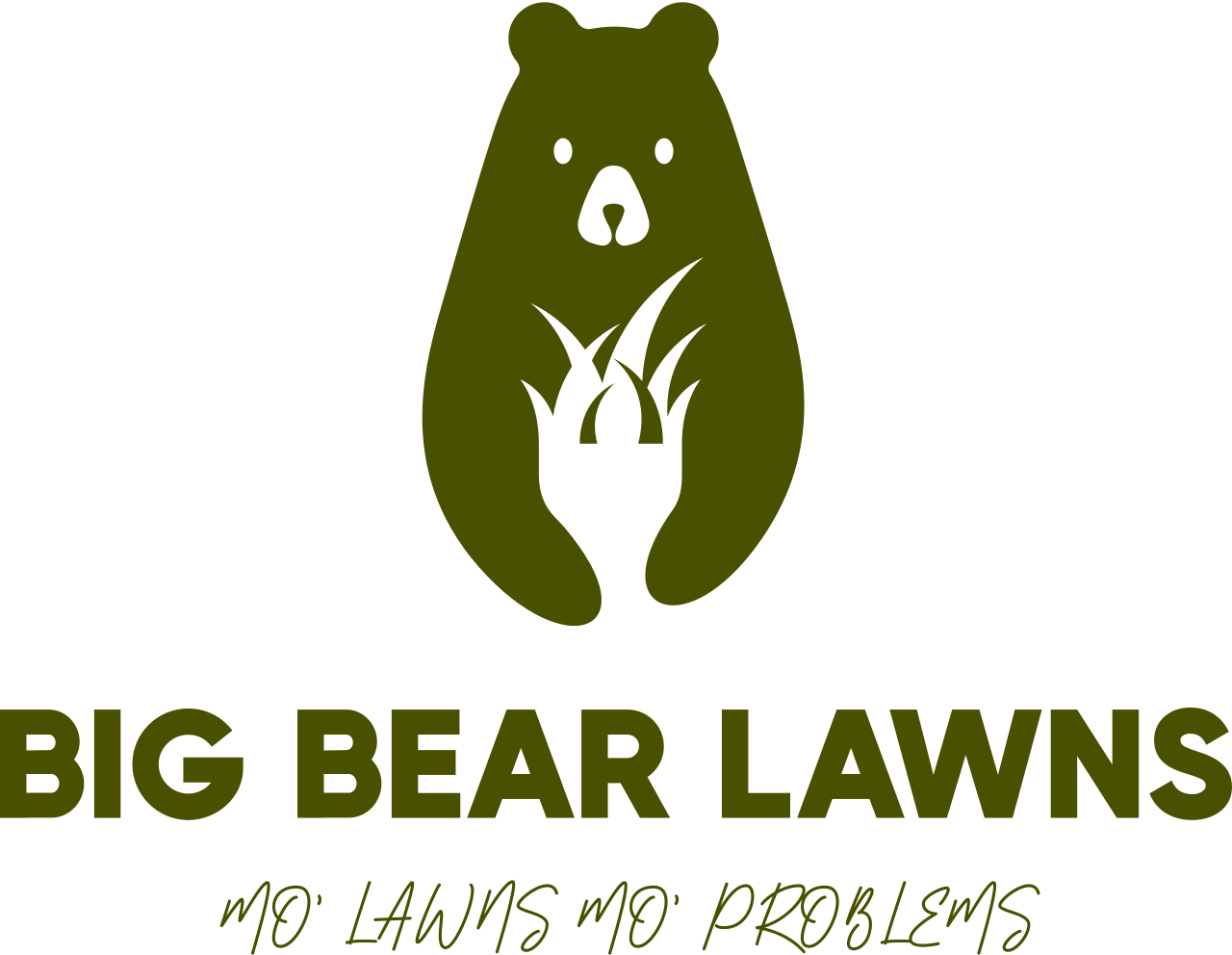 Big bear lawns's logo