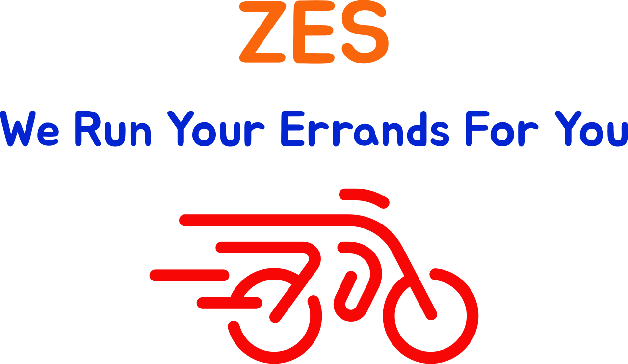 ZES's web page