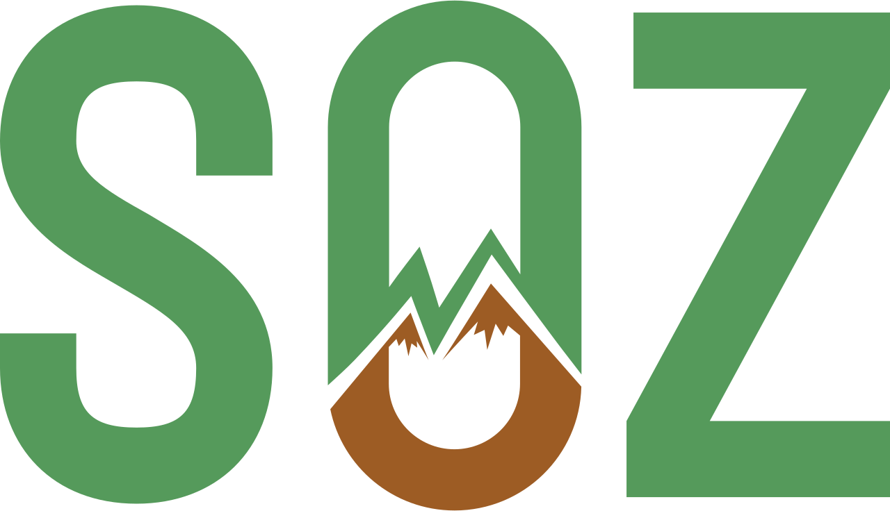 S's logo