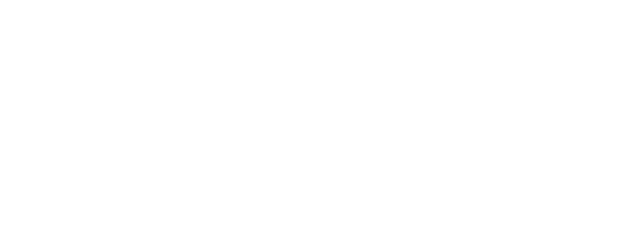  S&S Project Management and Consulting's logo