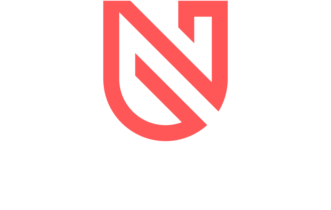 NetSystem's logo