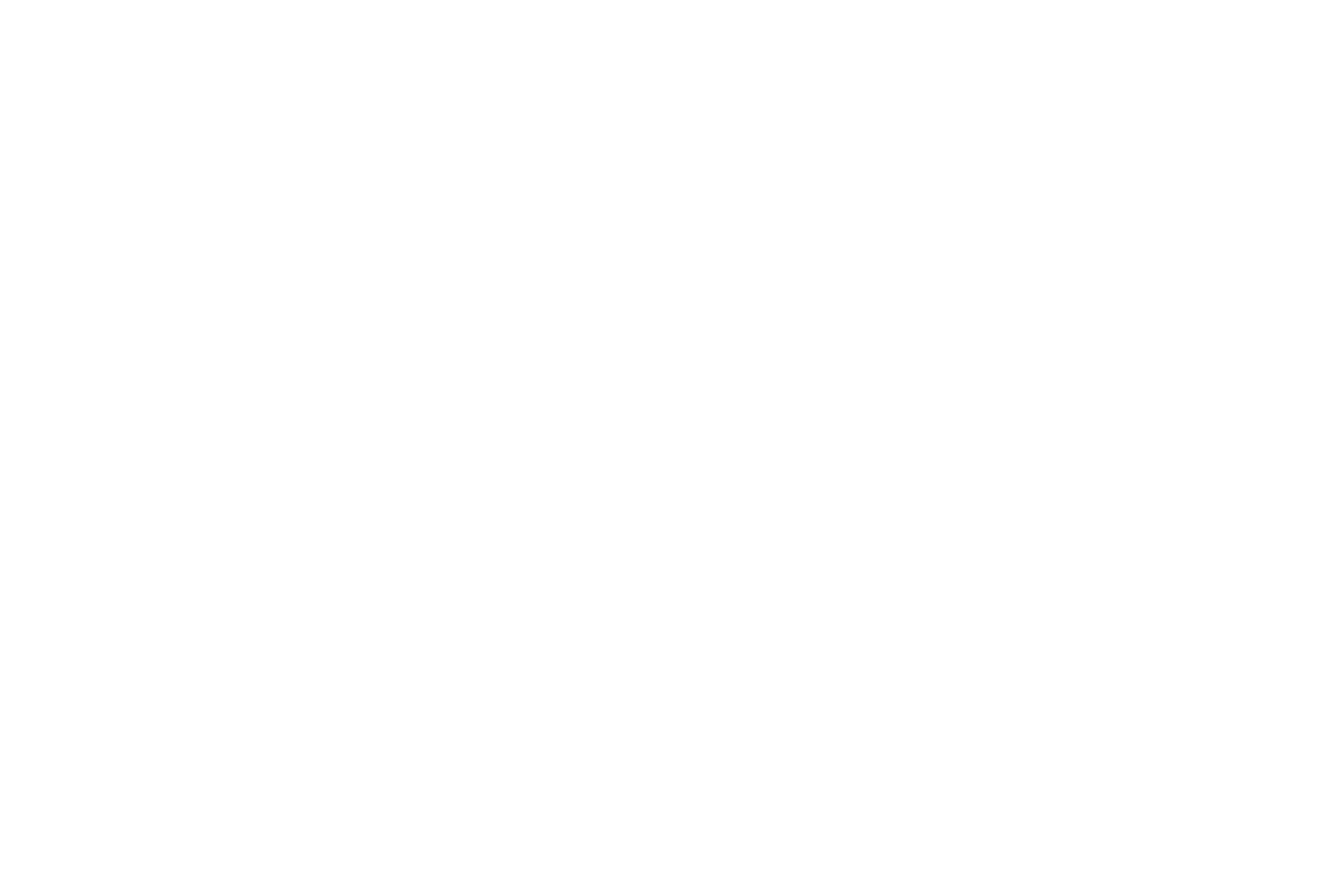 The Witching Well's logo