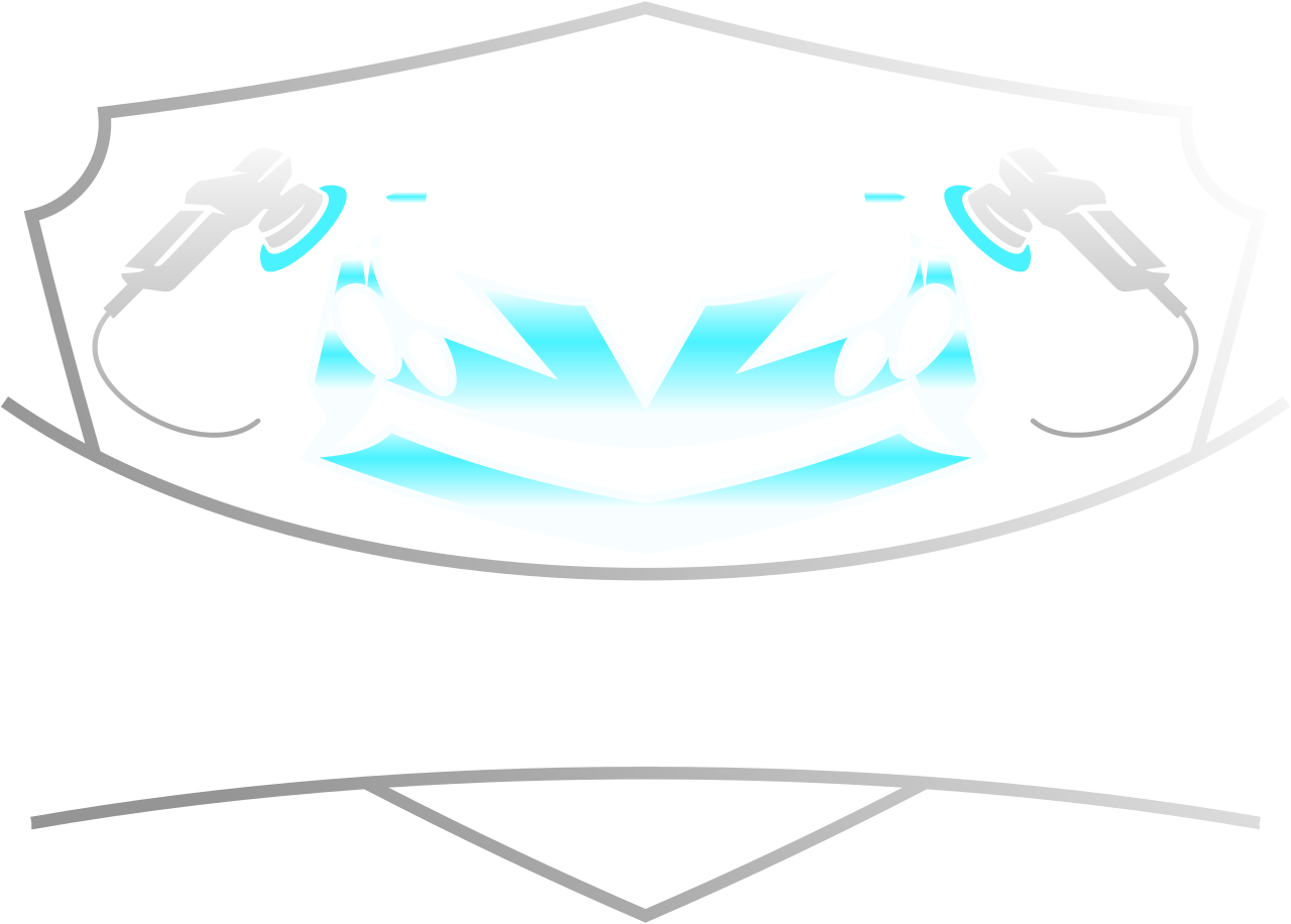 SPEEDY SUDS's logo