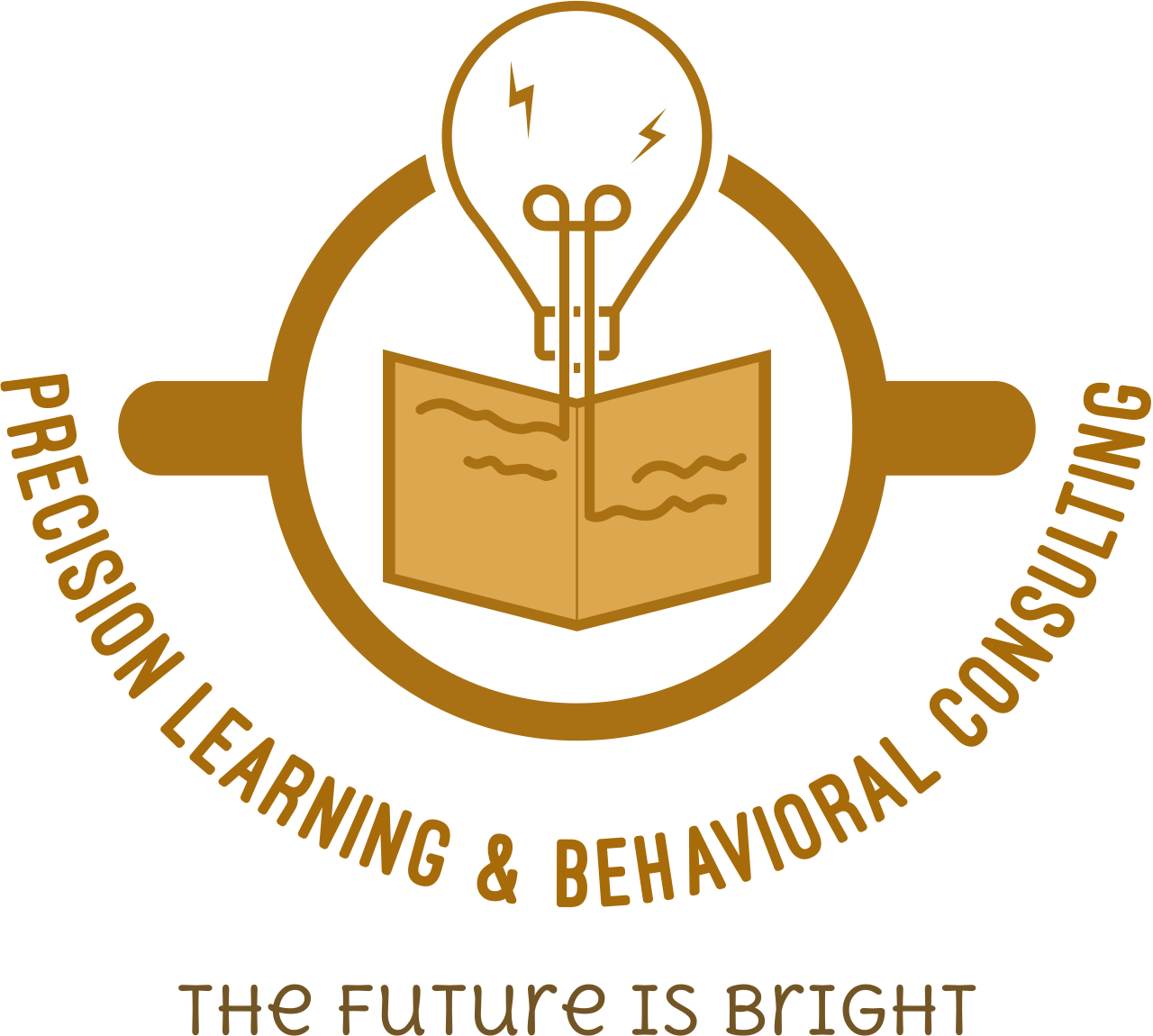 Precision Learning & Behavioral Consulting's web page