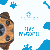 Stay Pawsome Instagram post Image Preview