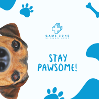 Stay Pawsome Instagram post Image Preview