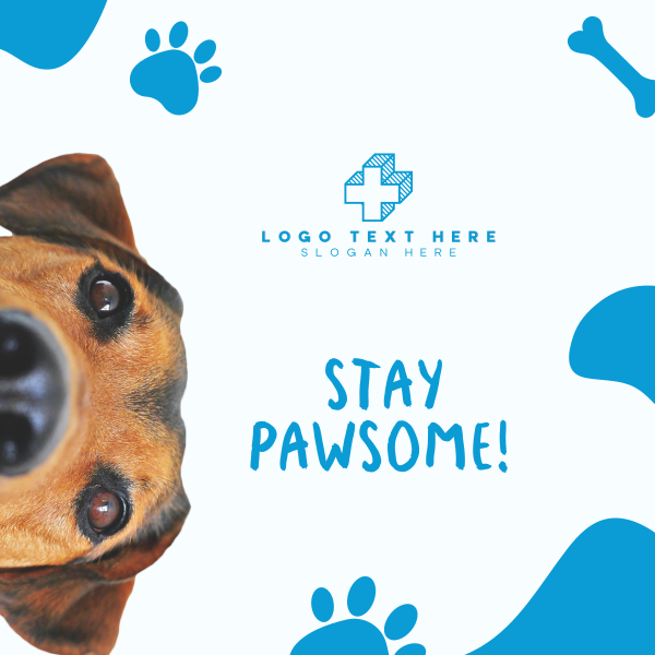 Stay Pawsome Instagram Post Design Image Preview