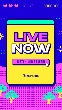 Pixel Livestreamer Instagram Reel Design