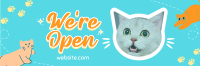 Show off your cat! Twitter header (cover) Image Preview