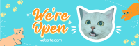 Show off your cat! Twitter Header Image Preview