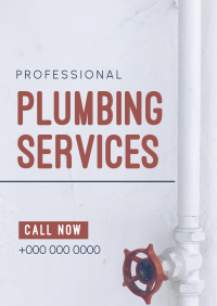 Professional Plumbing Poster Image Preview